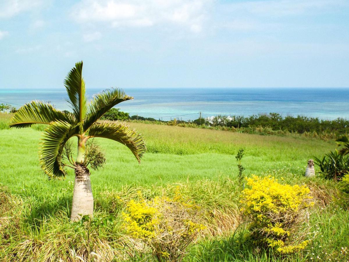 Hotel Asobibase Yamabare-House Ishigaki  Exteriér fotografie